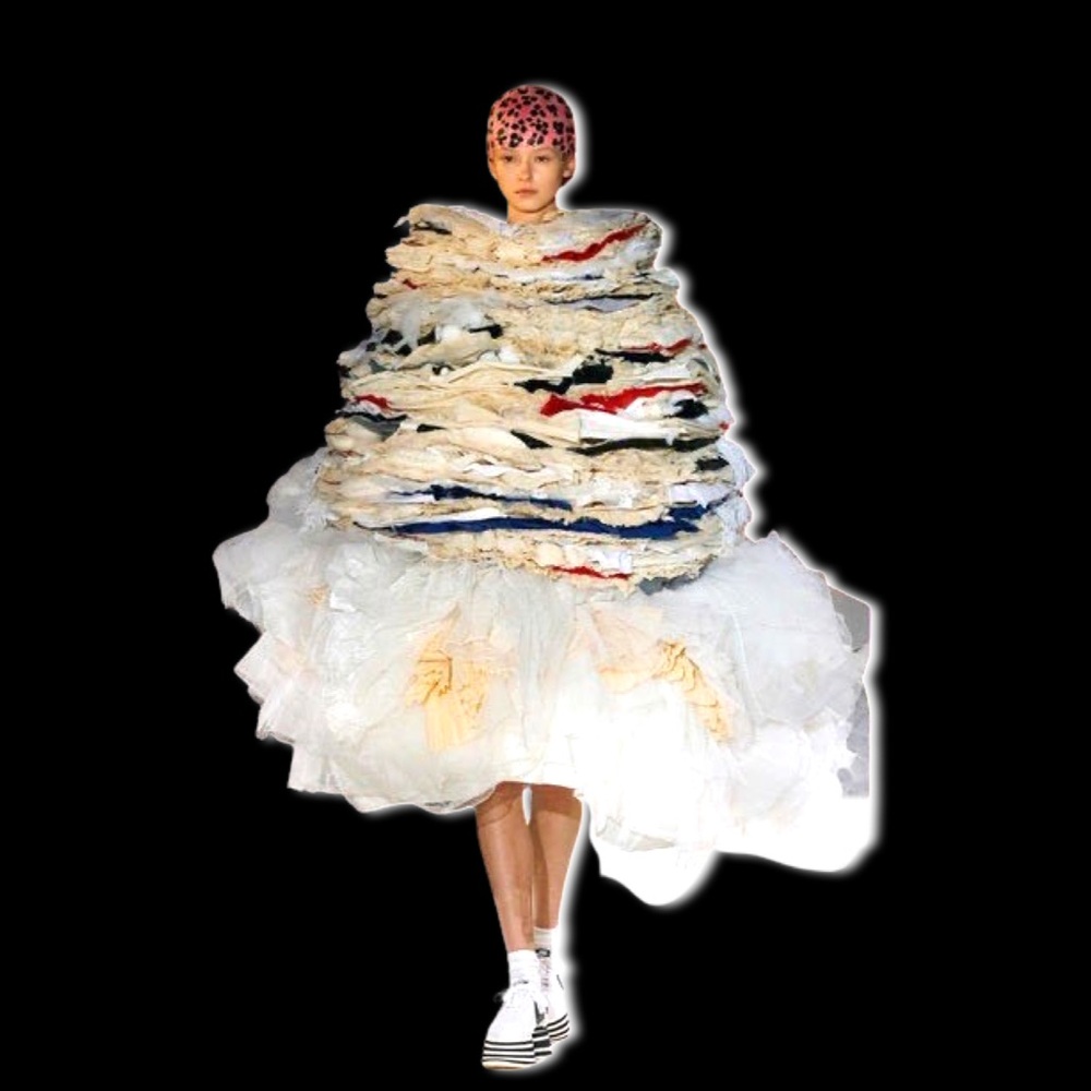 Comme des Garçons Cortez x Nike (Runway) - Picture 5 of 17